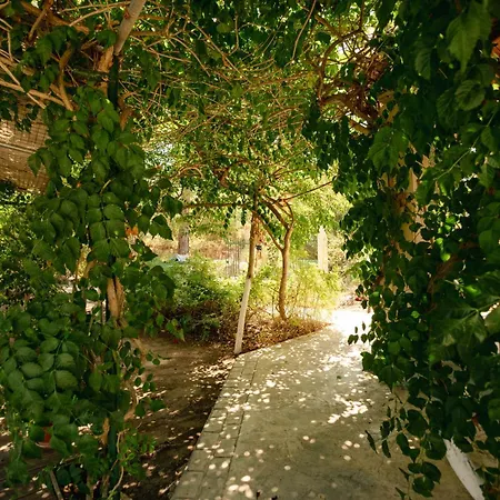 The Pretty House Next To The Potamion